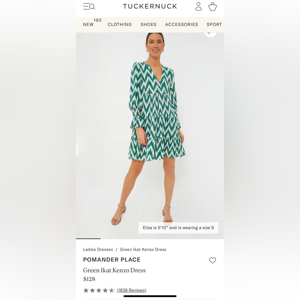 Tuckernuck Ikat Kenzo Dress